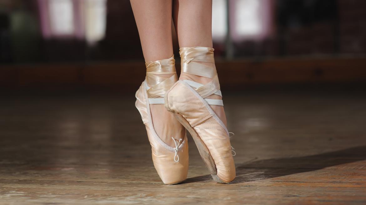 El Consejo de Gobierno ha aprobado hoy una inversión de más de 2,1 millones de euros para llevar a cabo esta iniciativa