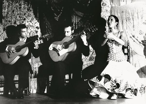 linares habichuela  café chinitas
