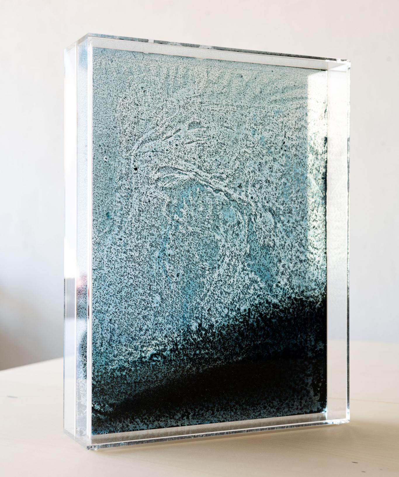 Imagen de una fotografía en negro y azul que se conoce como cianotipia