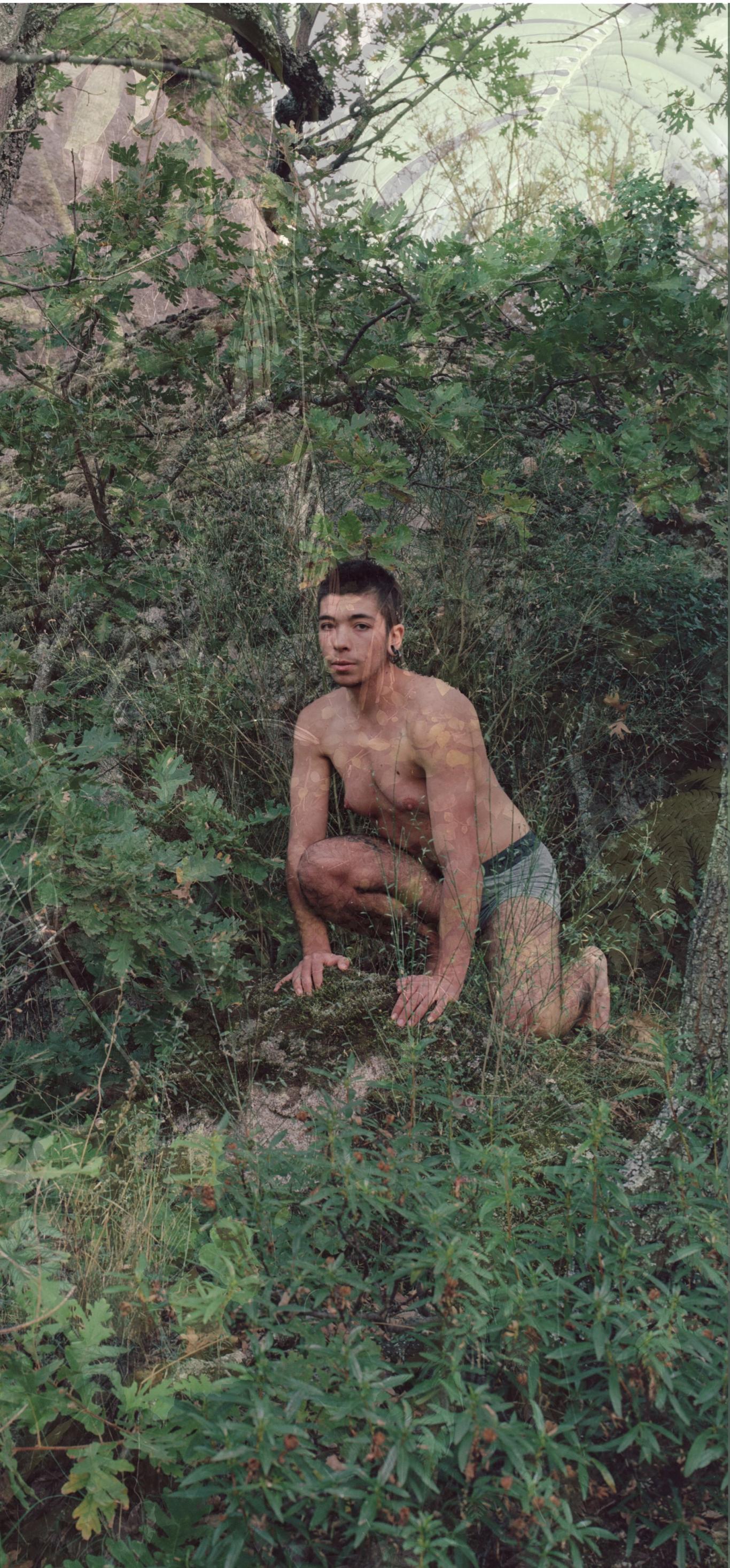 Fotografía de una persona desnuda en un bosque