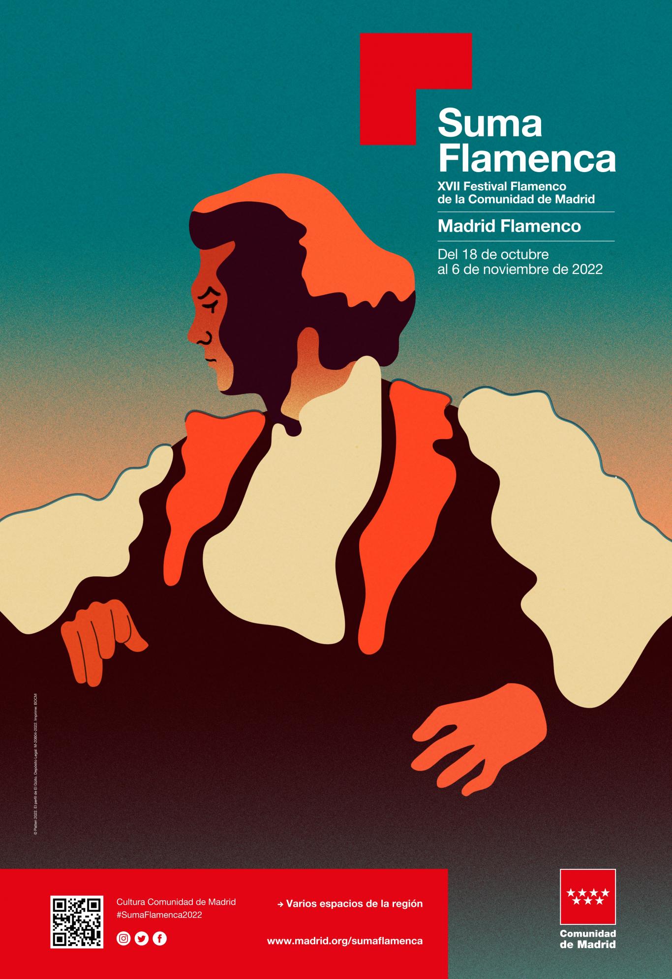 Imagen de un bailaor de flamenco