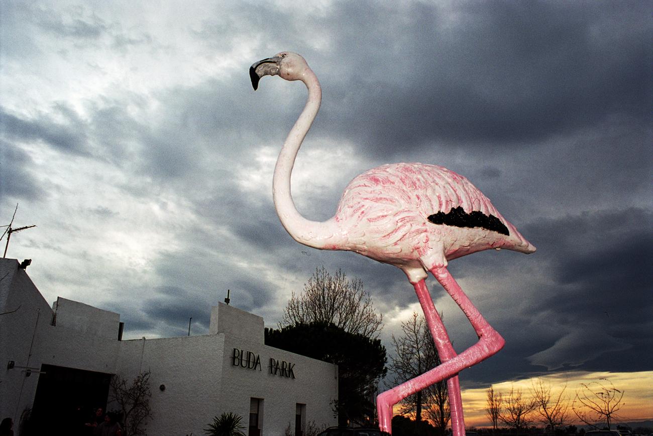Cigonya.Violència aplicada. Tanit Plana Fotografía de un flamenco en una calle sobre fondo de cielo cubierto de nubes