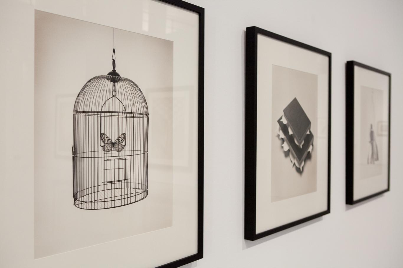 Chema Madoz. Las reglas del juego Tres fotos de Chema Madoz en blanco y negro. En la primera, más enfocada, aparece una mariposa enjaulada