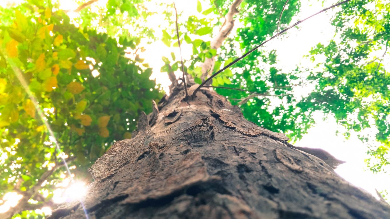Área de Ciencias Ambientales