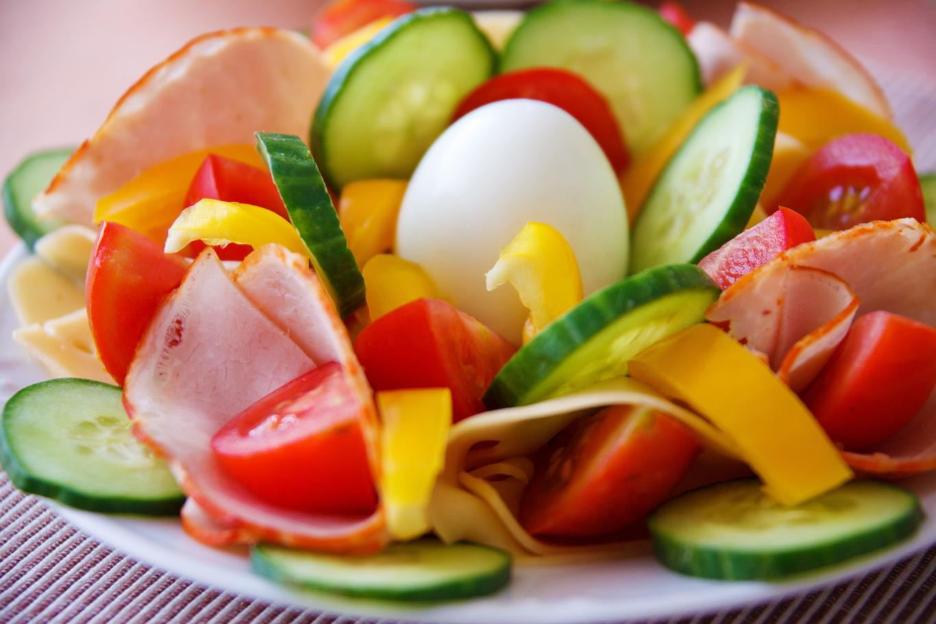 Área de Nutrición Humana y Dietética