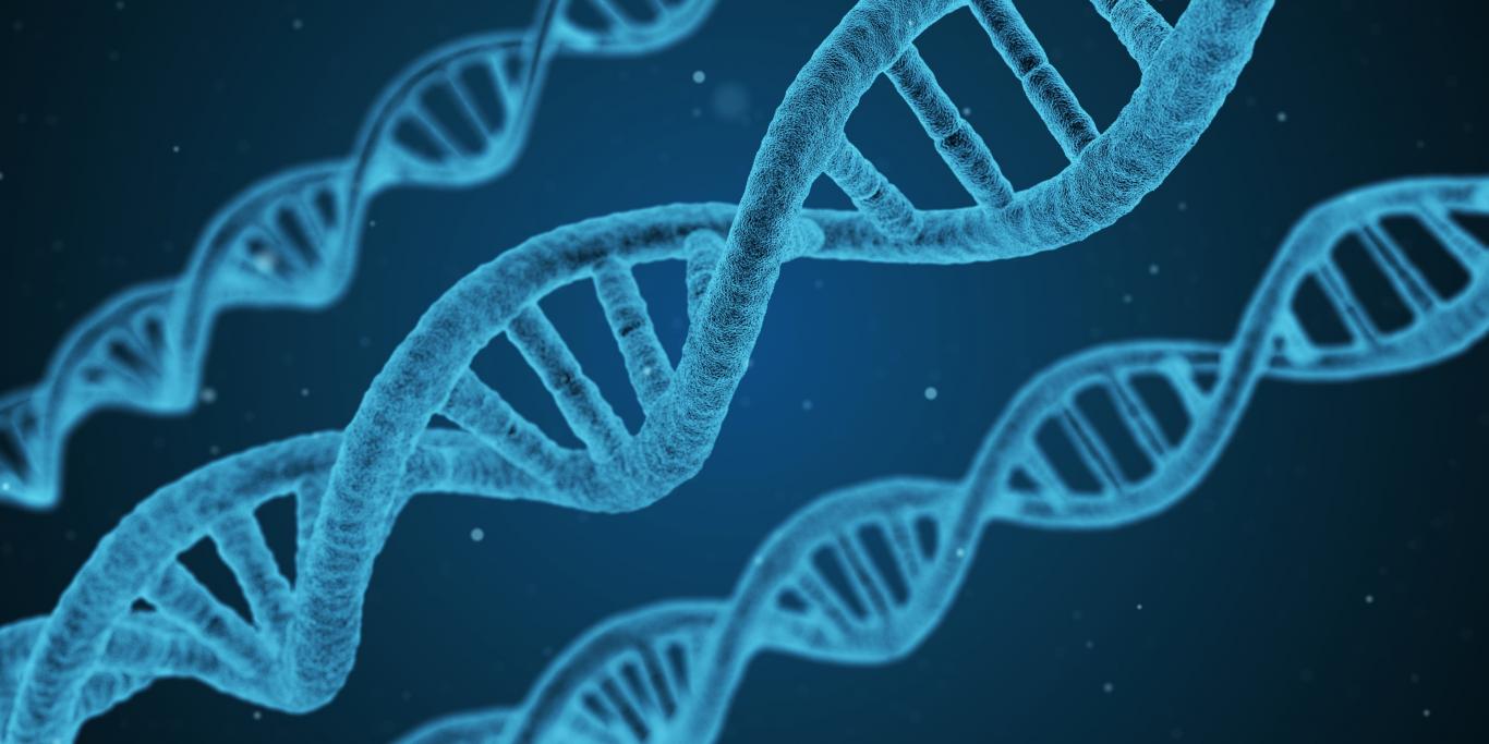 Área de Ingeniería Biomédica