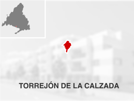 Imagen que muestra un mapa de Madrid, con el municipio de Torrejón de la Calzada resaltado