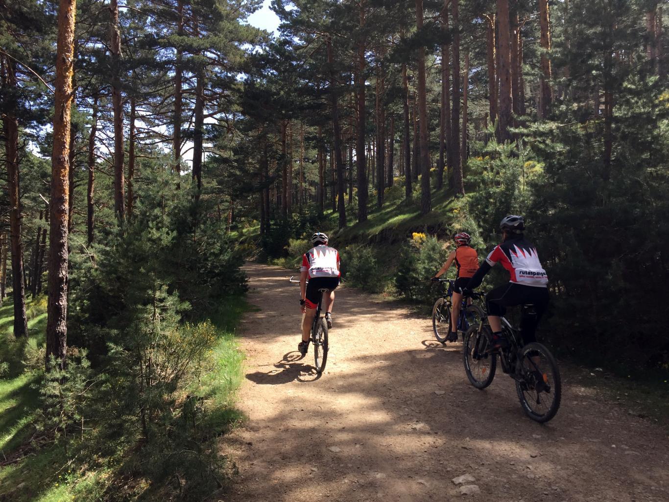 ciclistas en el Parque Nacional