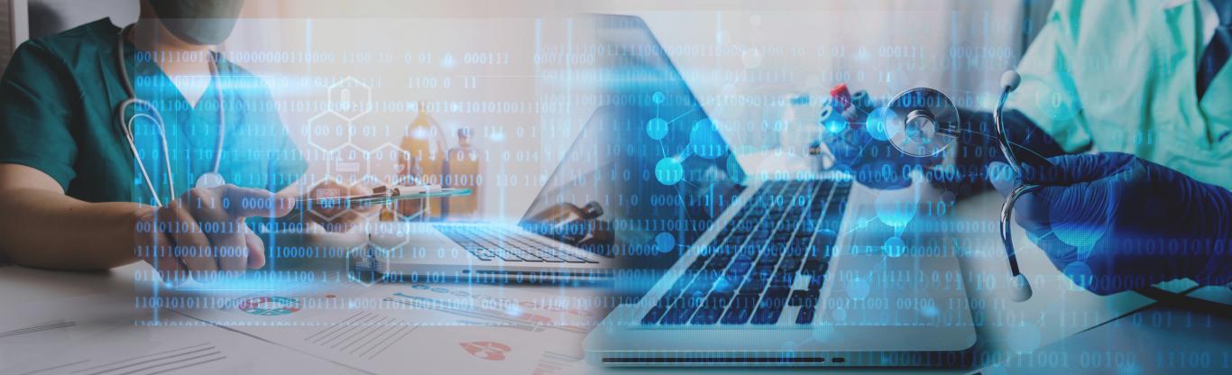 Técnico introduciendo datos en un portátil