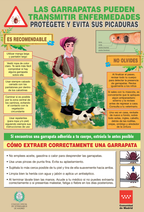 Cómo retirar garrapata de la piel