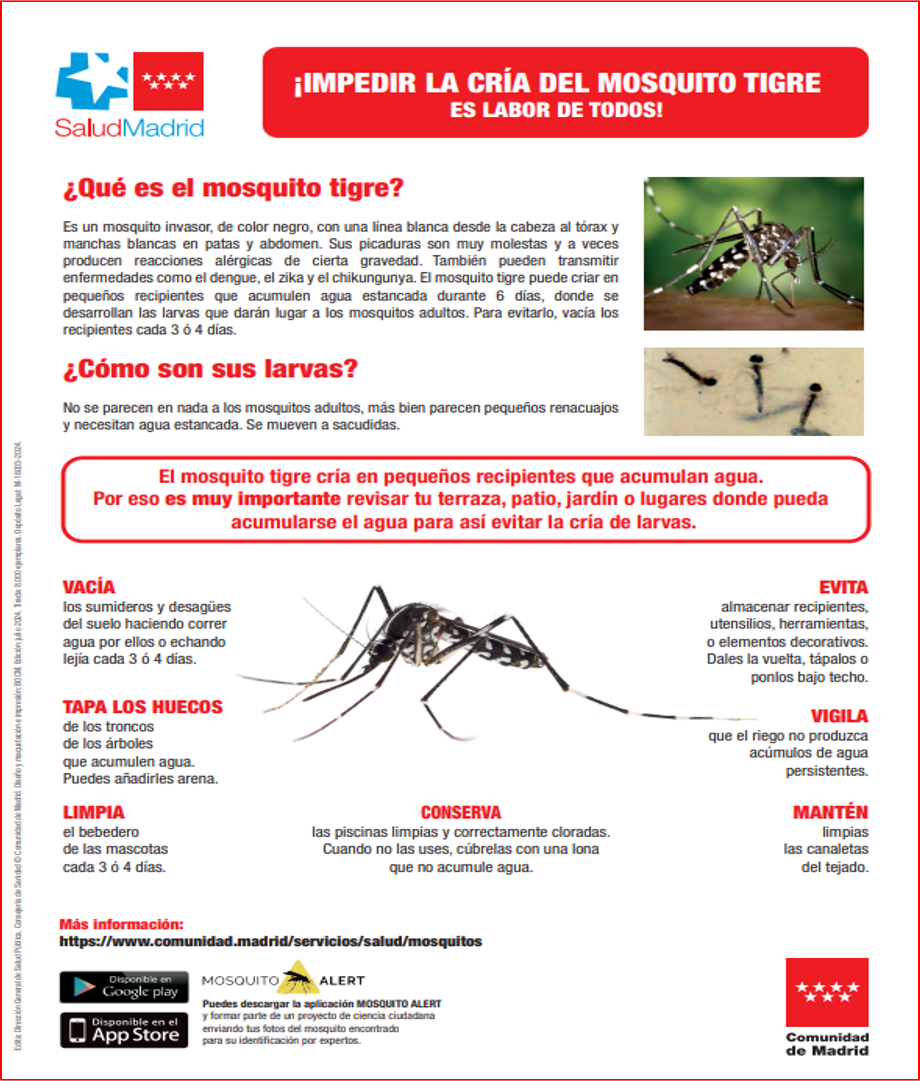 Portada del cartel Impedir la cría del mosquito tigre es labor de todos