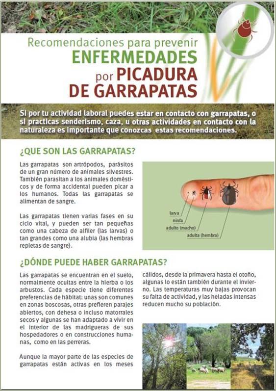 Portada de la publicación Recomendaciones para prevenir enfermedades por picadura de garrapata