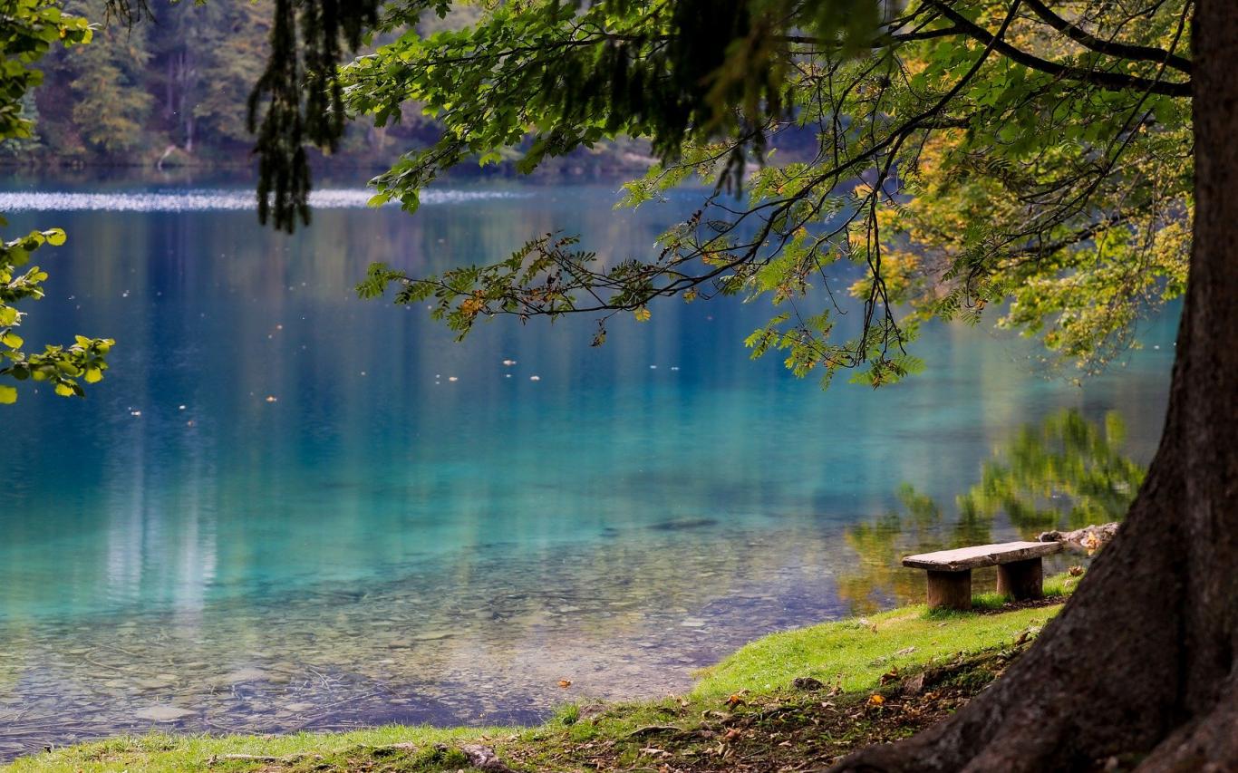 Zonas de baño Lago azul desde la orilla con árboles en primer plano