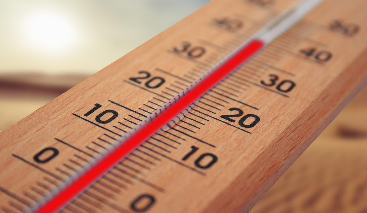 Ola de calor