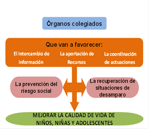 Organo colegiado
