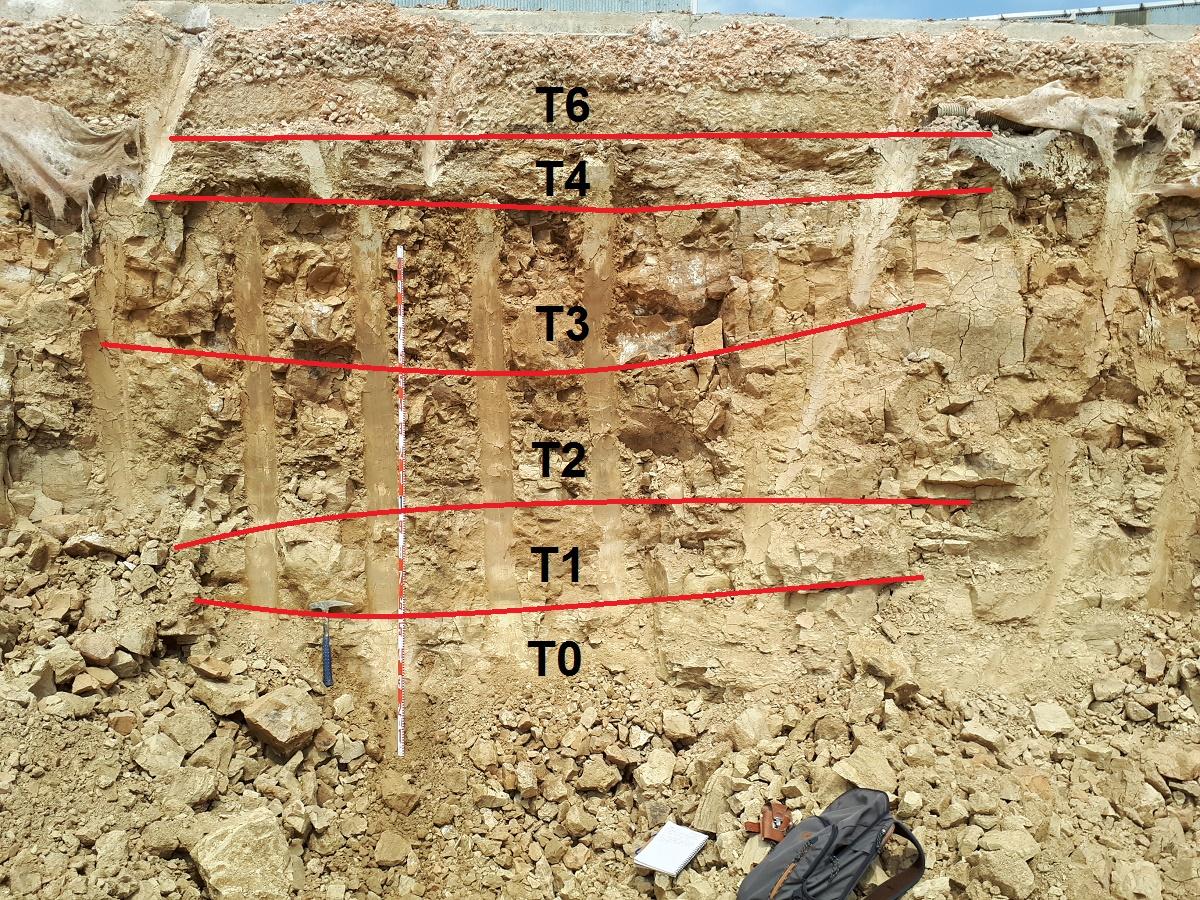 Principales Unidades Estratigráficas del yacimiento de la calle Faisán