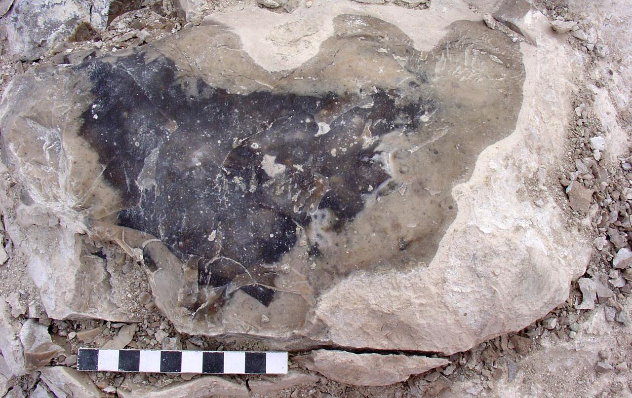 Bloque de silex de Casa Montero Imagen bloque de silex de Casa Montero