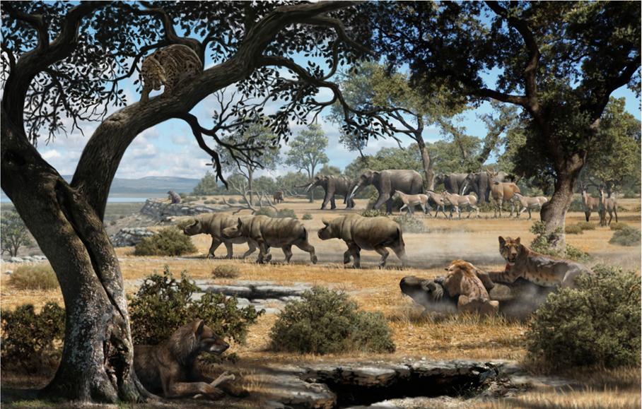 Imagen representación de la fauna del Cerro de los Batallones