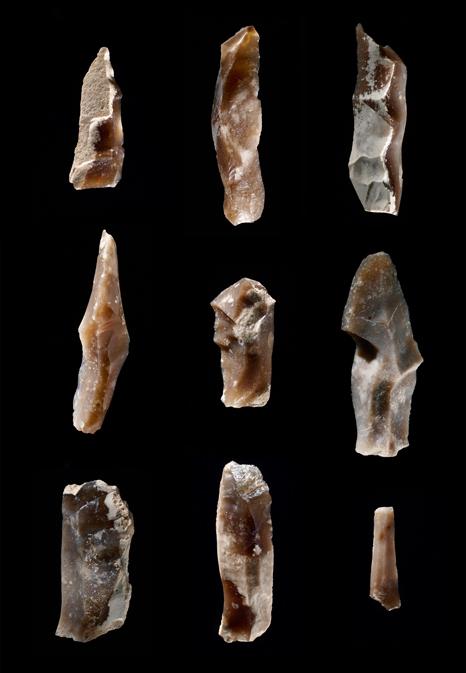 Láminas de sílex Imagen de láminas de sílex