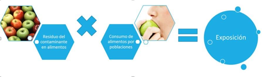 Esquema que muestra la exposición a contlimento, aminantes de la forma: Residuo del contaminante en el alimento, multiplicado por el consumo de ese alimento es igual a la llamada Exposición