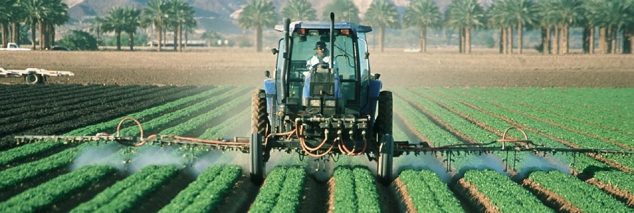 Maquinaria aplicando plaguicida en un cultivo Maquinaria aplicando plaguicida en un cultivo