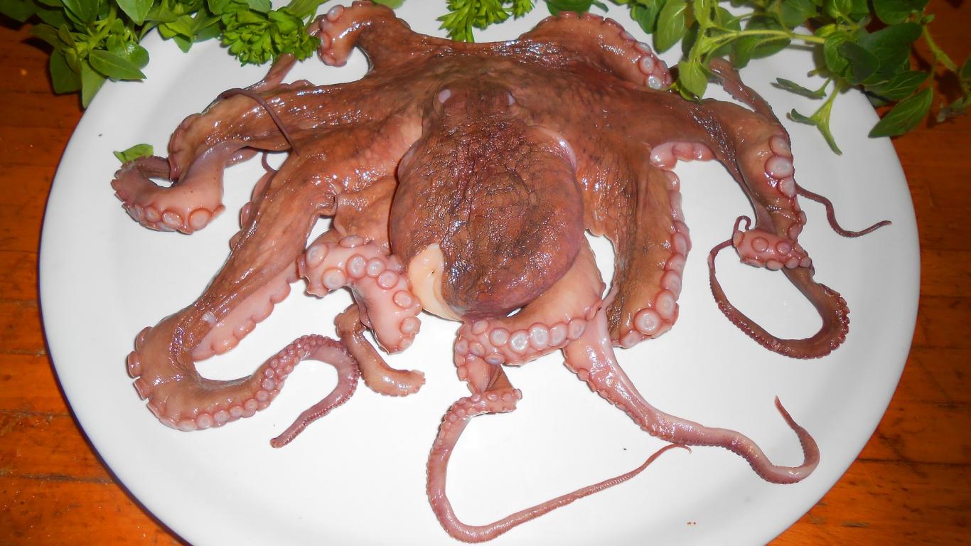 Pulpo