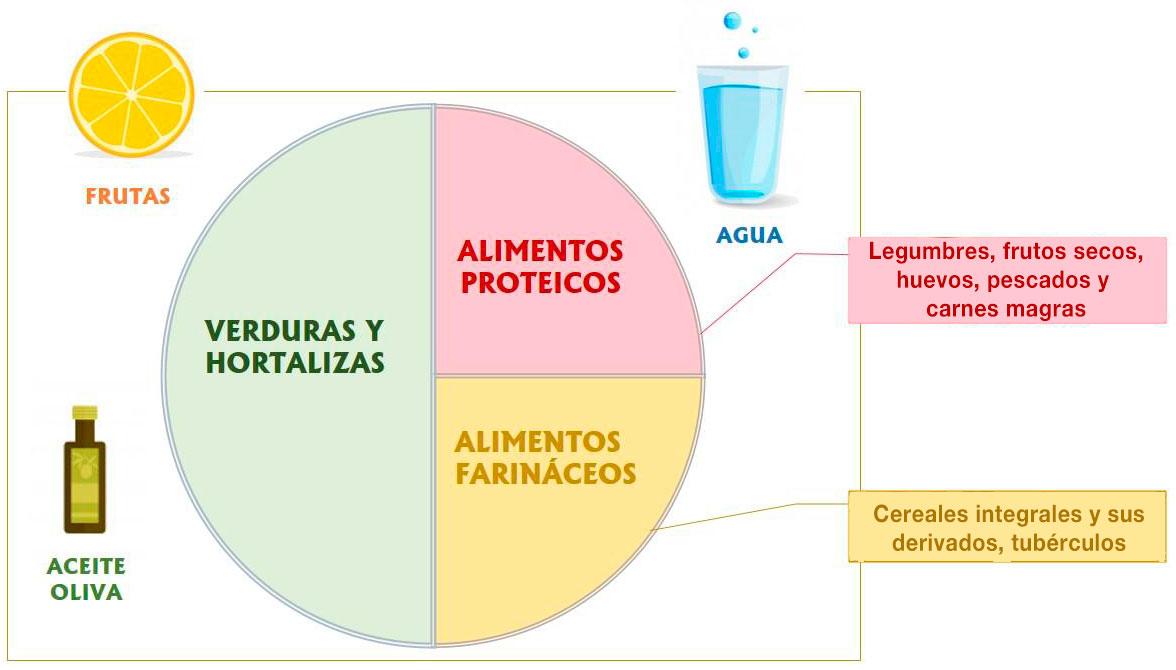 Dibujo de plato con proporciones recomendadas de alimentos: 50% de verduras y hortalizas, 25% de alimentos protéicos y 25% de alimentos farináceos