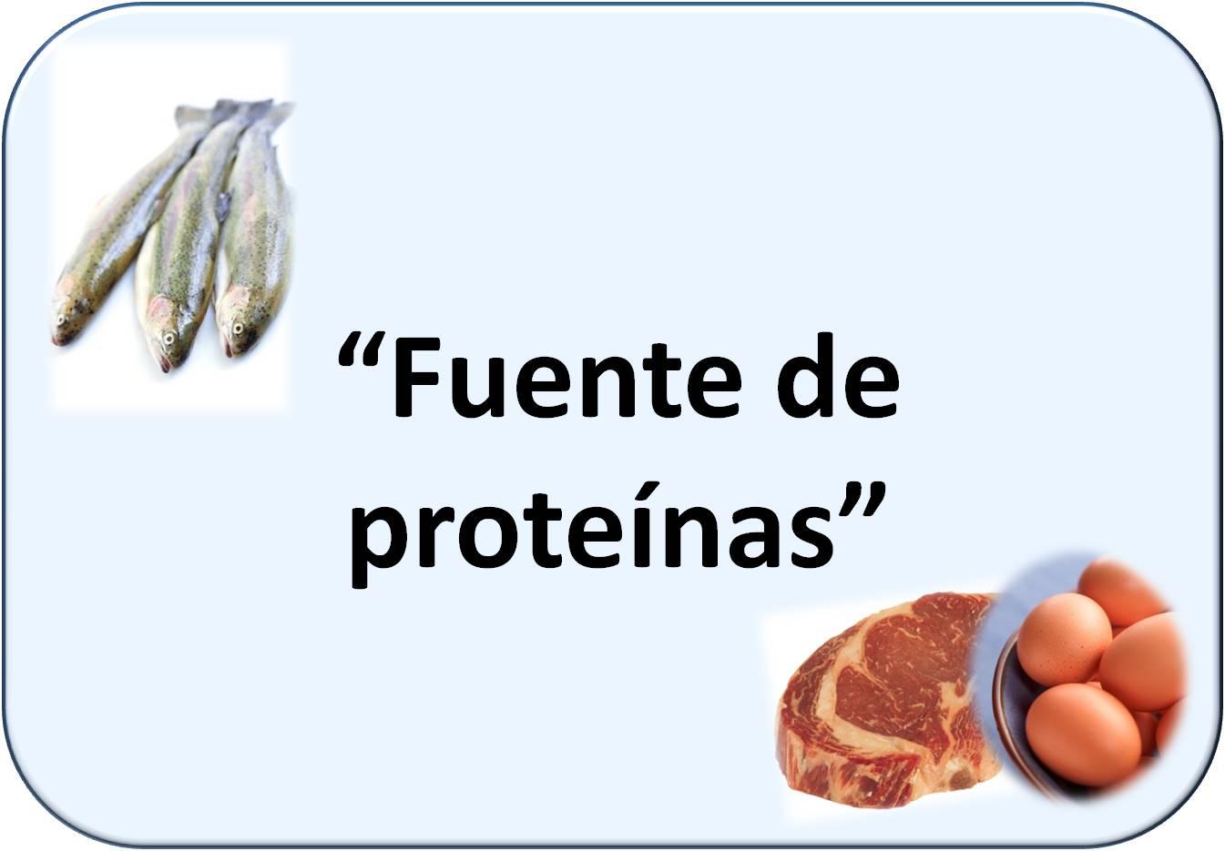 Simbología de proteínas: pescado, carne y huevos