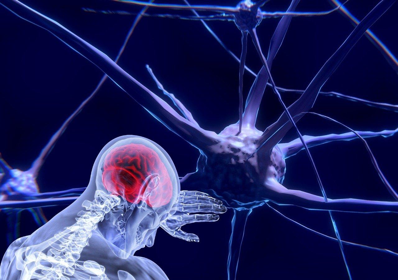 imagen de cabeza humana por rayos x con conexiones neuronales