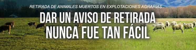 Imagen banner retirada animales muertos