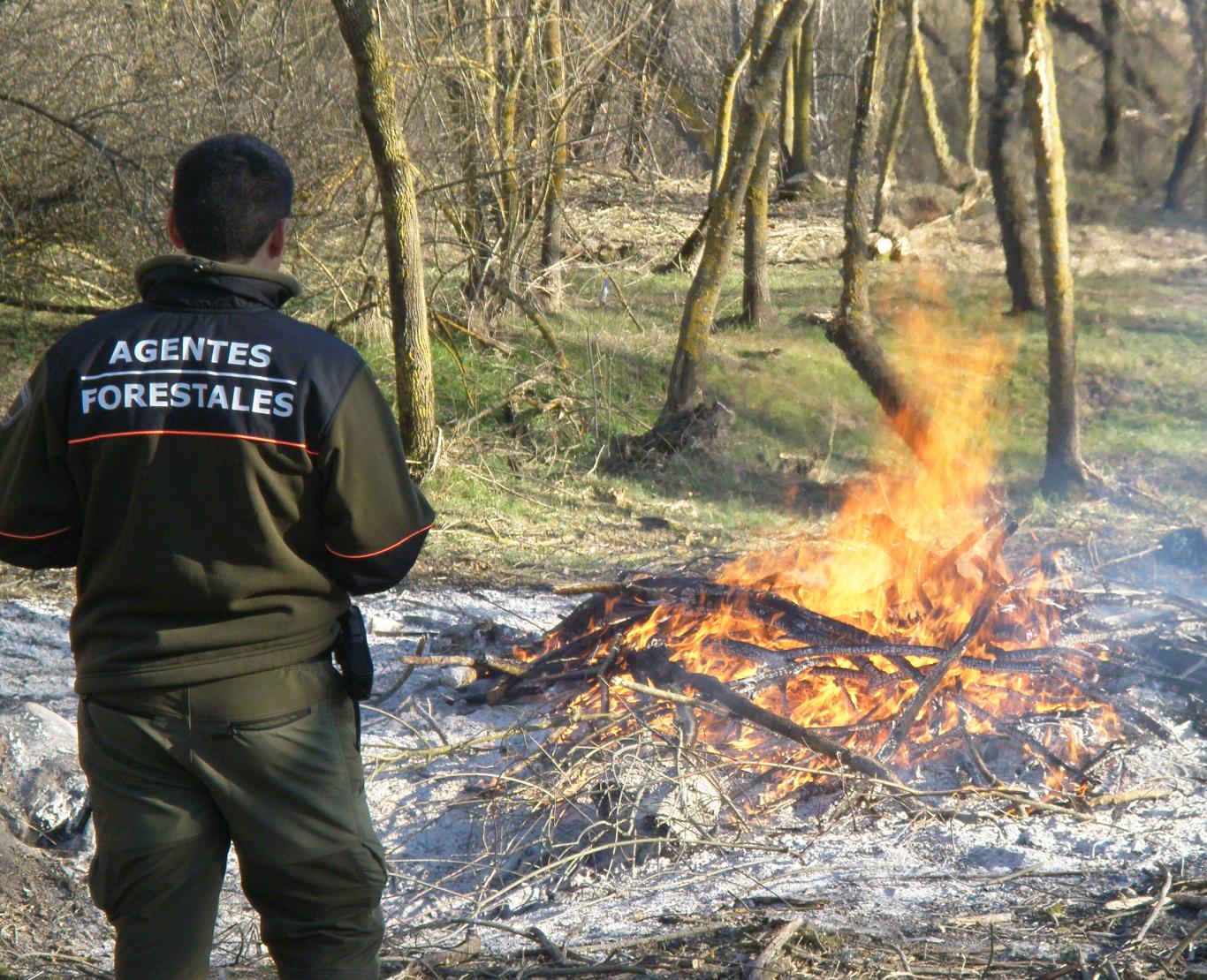 Agente Forestal examinando una quema