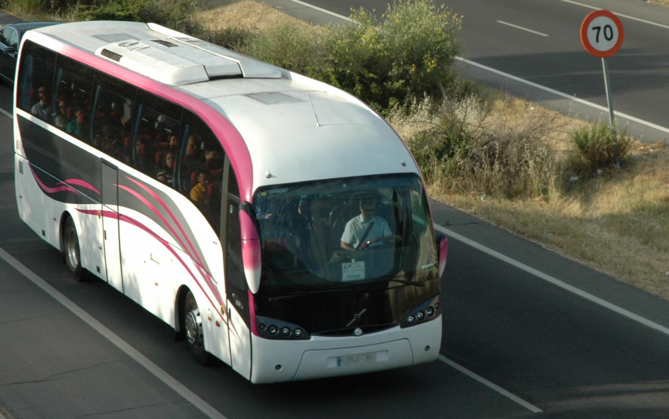 Autobus Rosa