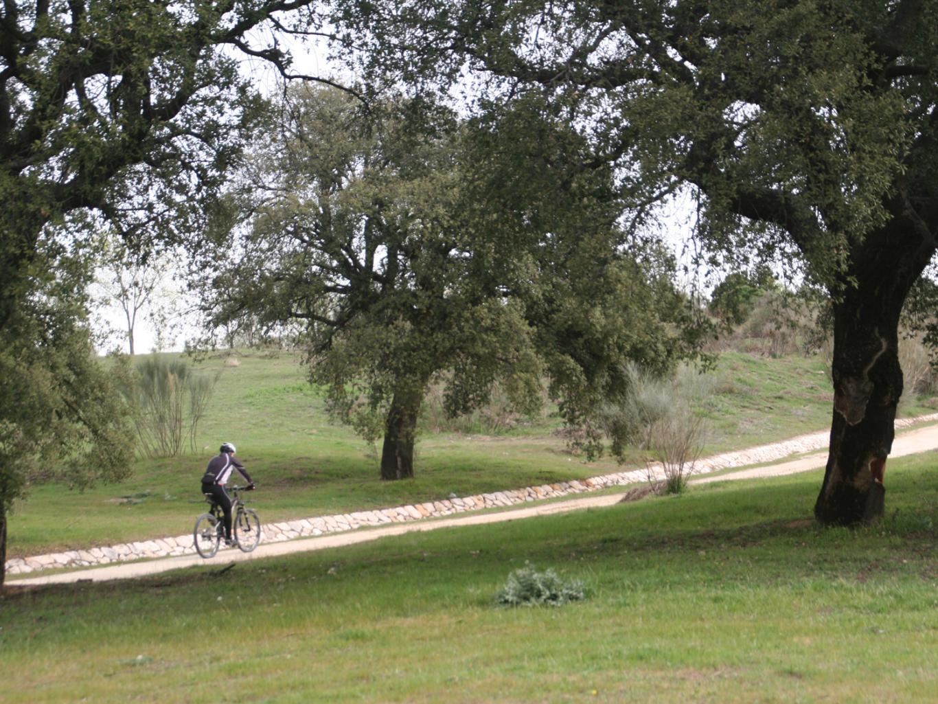 Ciclista en el parque de Las Presillas