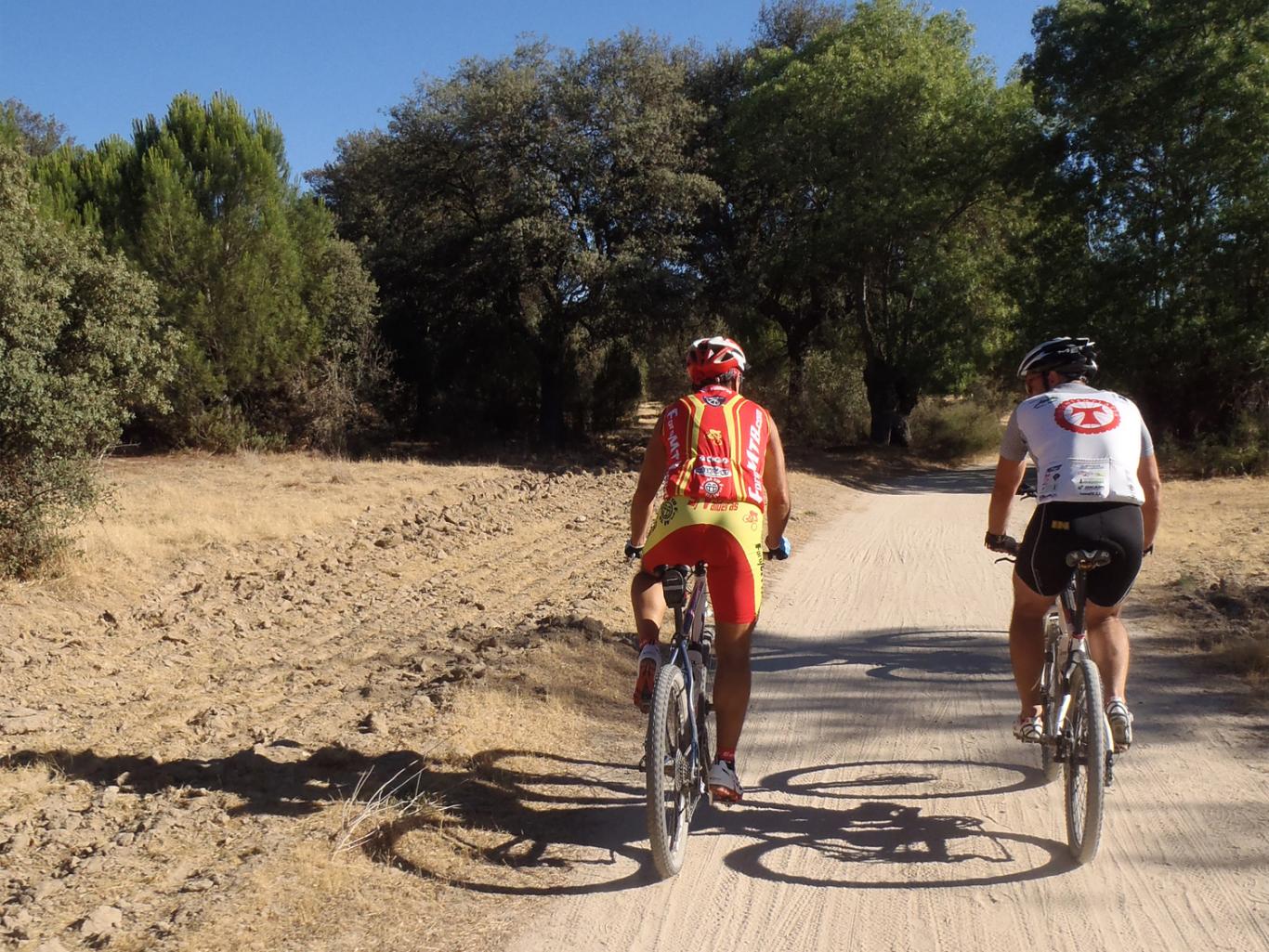 Ciclistas pedaleando por un camino