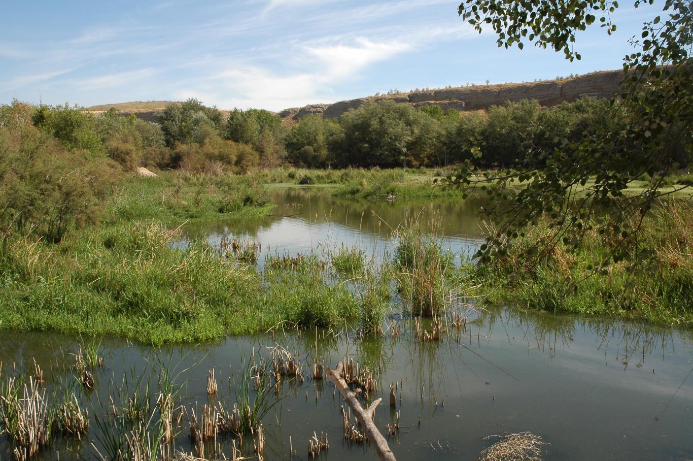 Humedales_Lagunas de Ciempozuelos_Ciempozuelos
