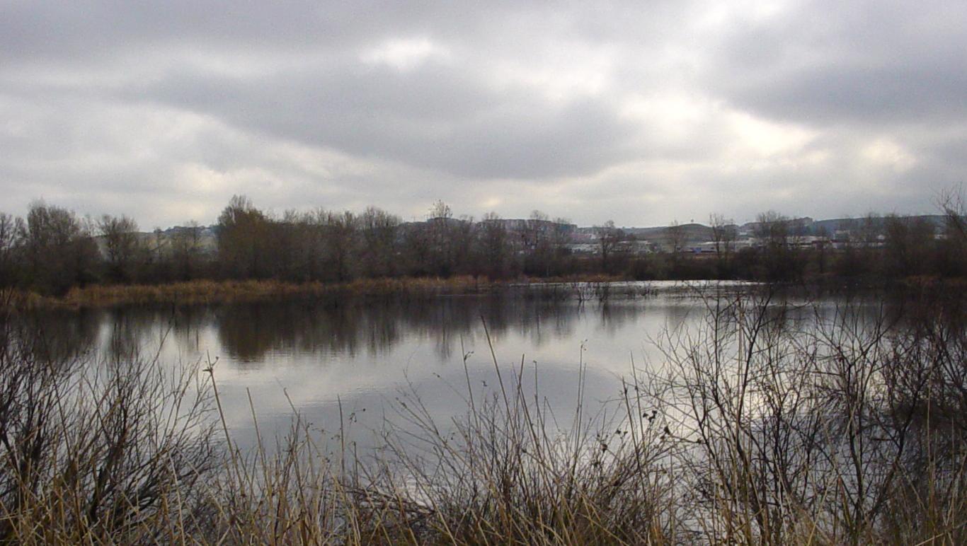 Humedales_Lagunas de Soto Mozanaque_Algete