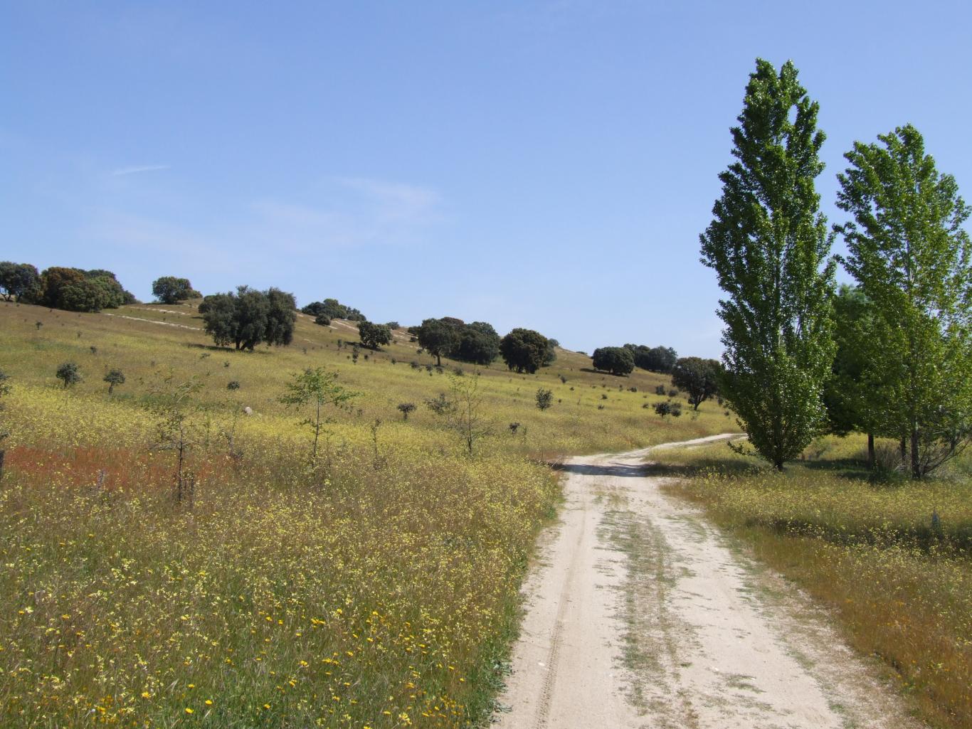 Parque Regional del curso medio del río Guadarrama y su entorno
