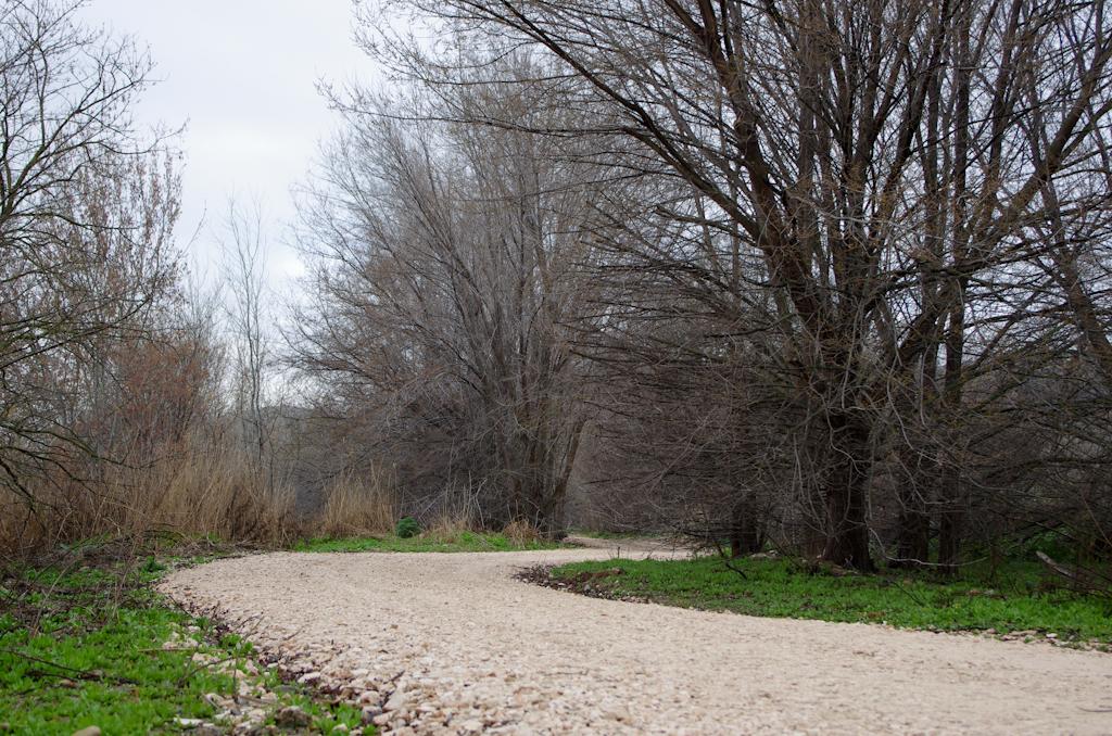 Parque Regional del Sureste_Camino Soto de las Juntas