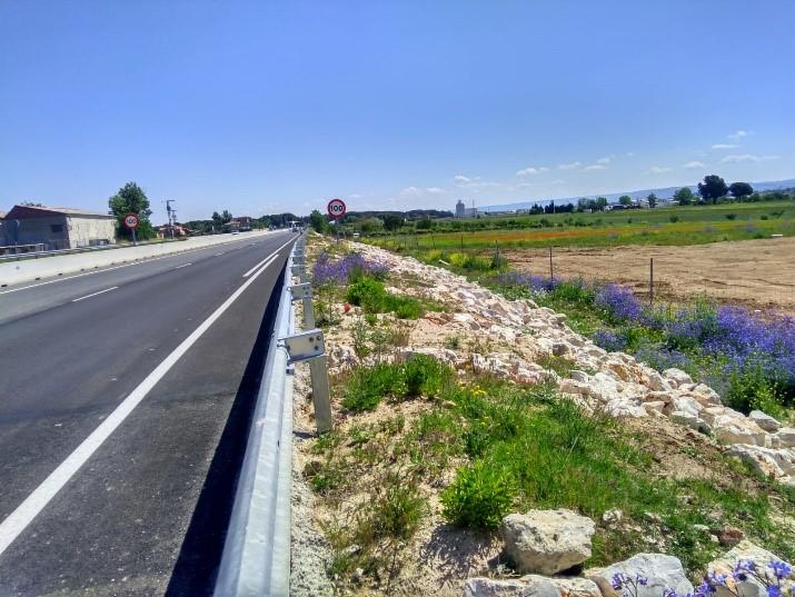 Carretera M-115 Paracuellos del Jarama, a la derecha campo