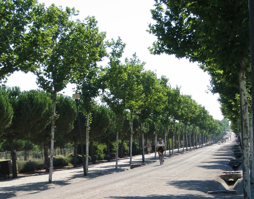 Ciclista en el Parque Polvoranca