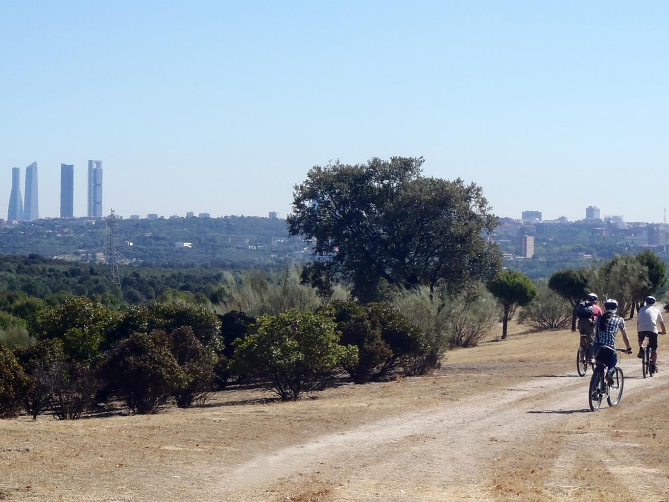 Vista de las cuatro torres desde el Parque Forestal Adolfo Suárez-Casa de Campo