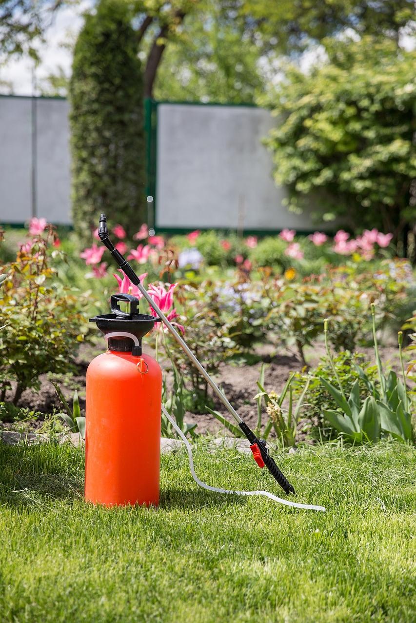 Botella de fertilizante para plantas