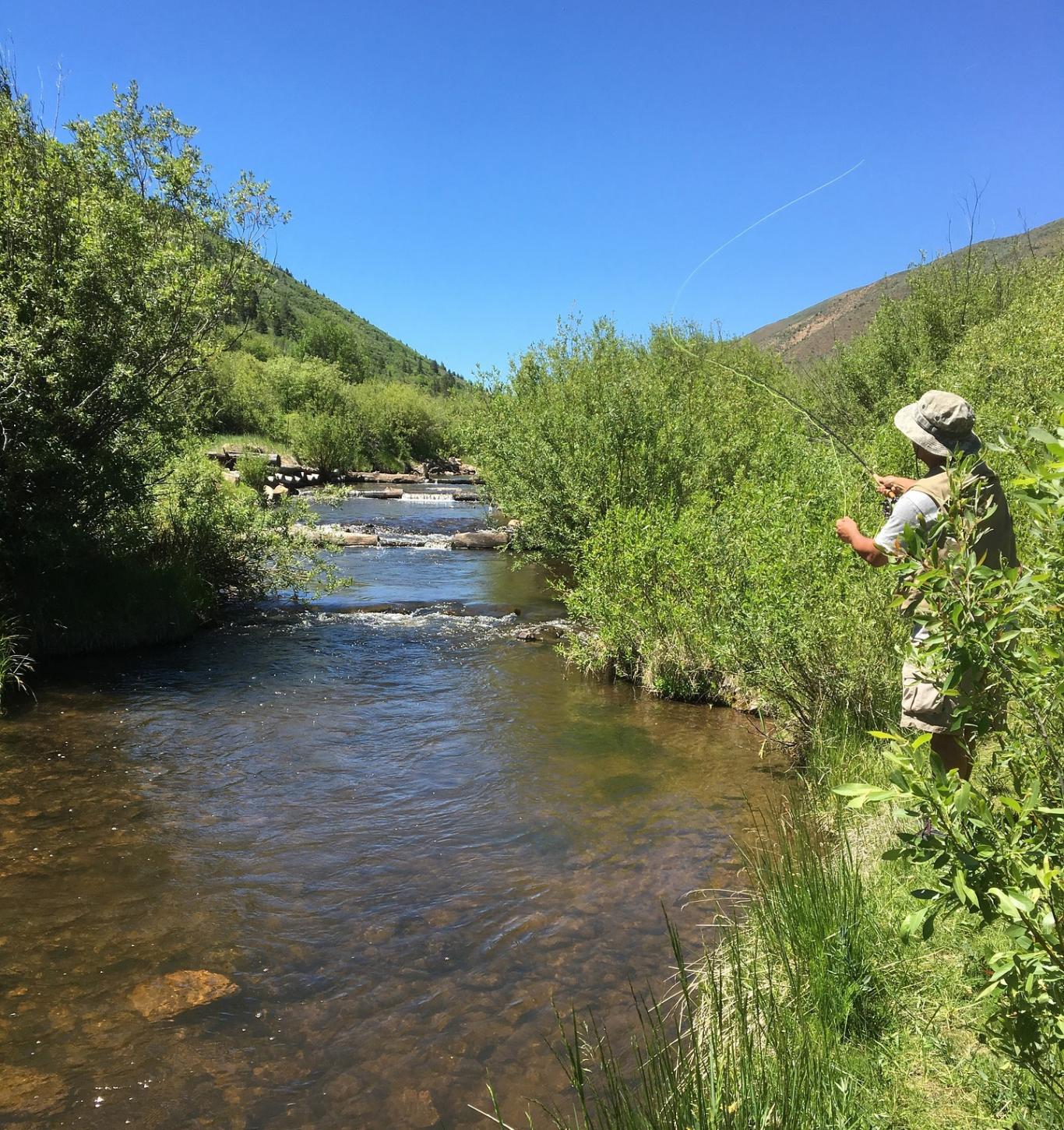 Pesca en río