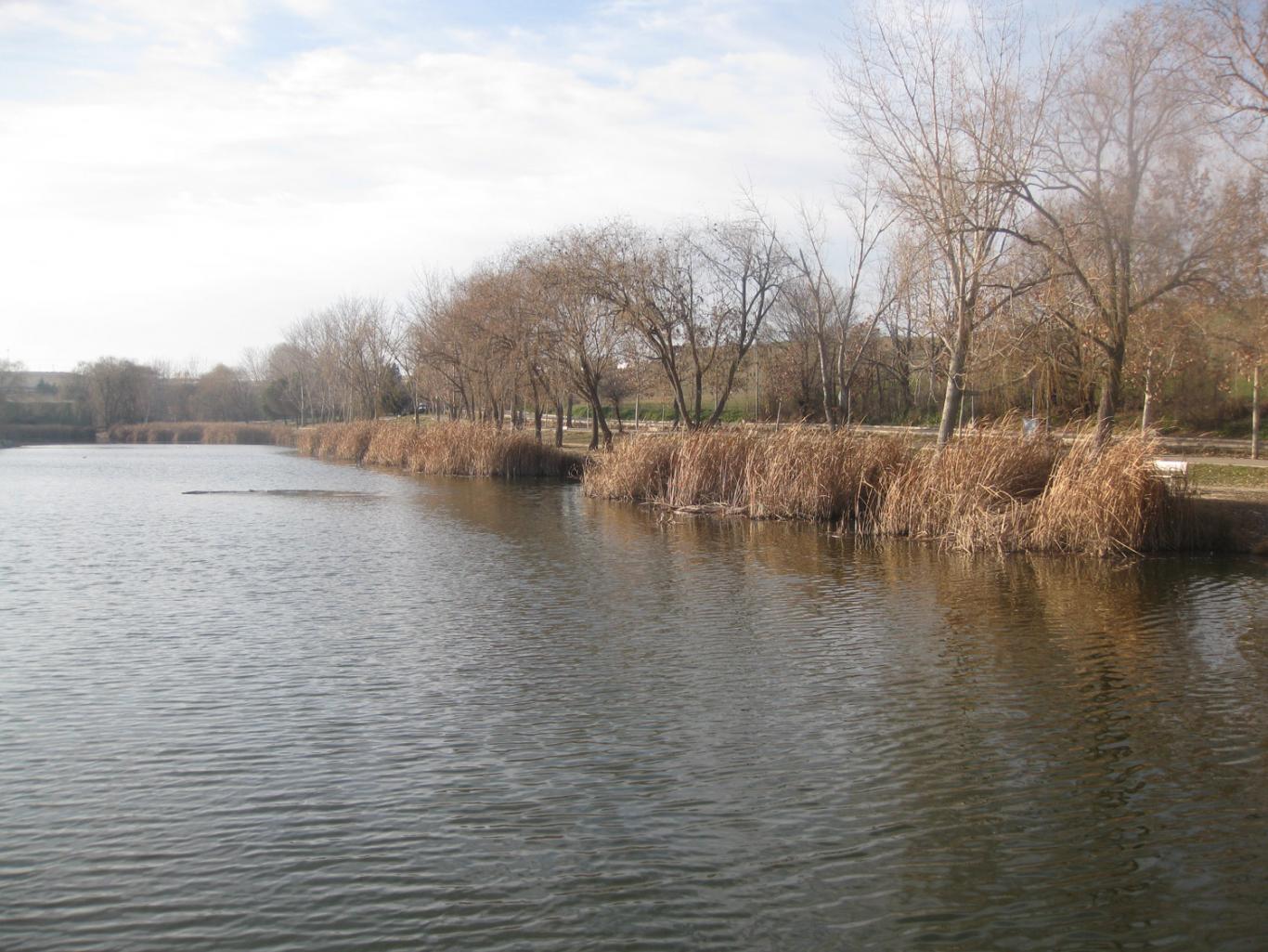 Lago de Butarque