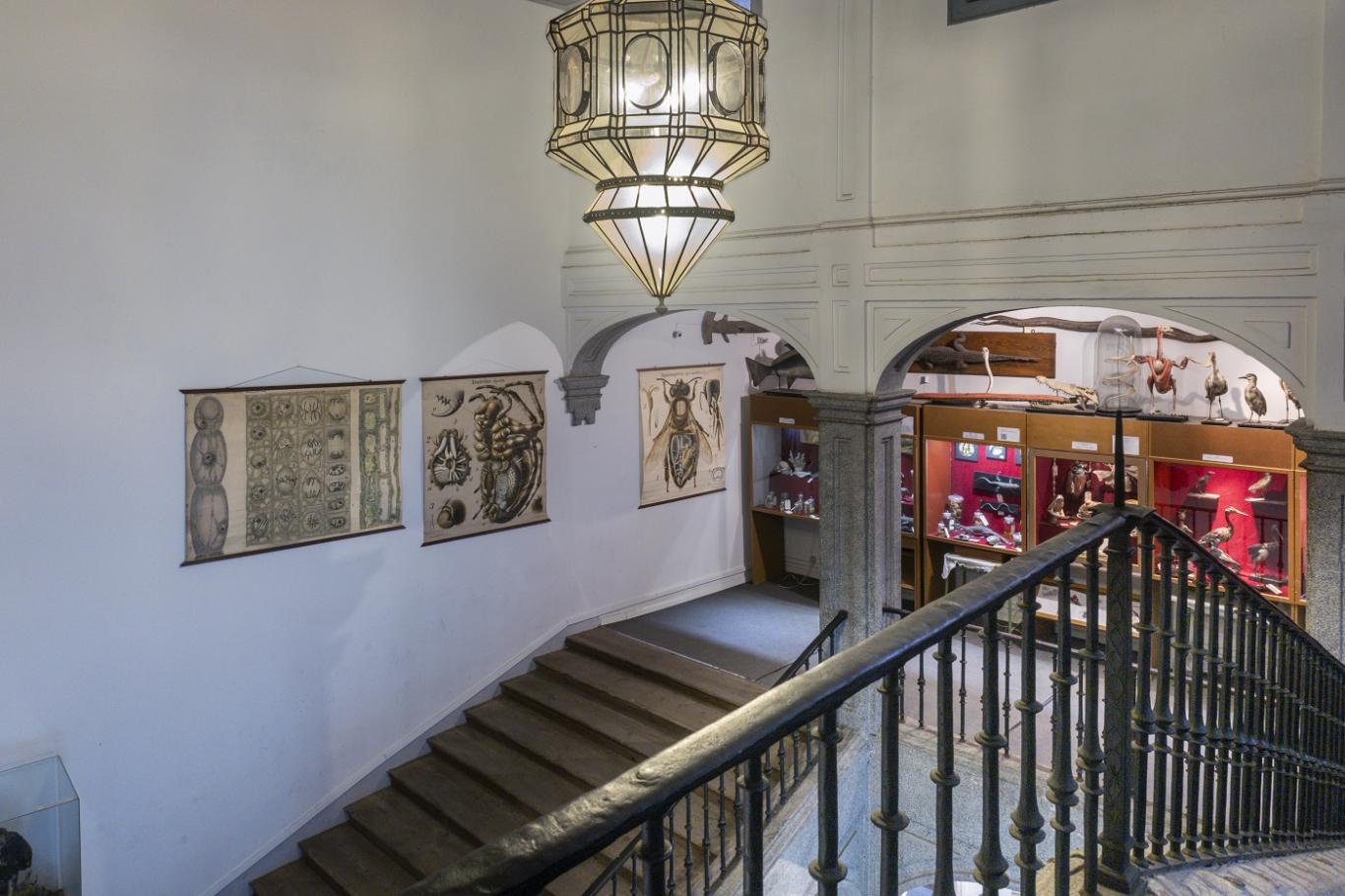 imagen escalera del museo de ciencias