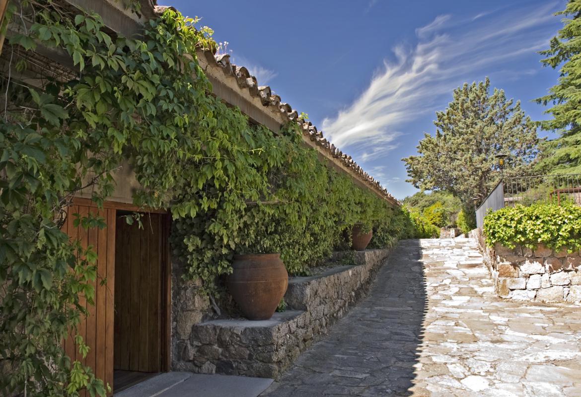 Casa de Lucio Muñoz 