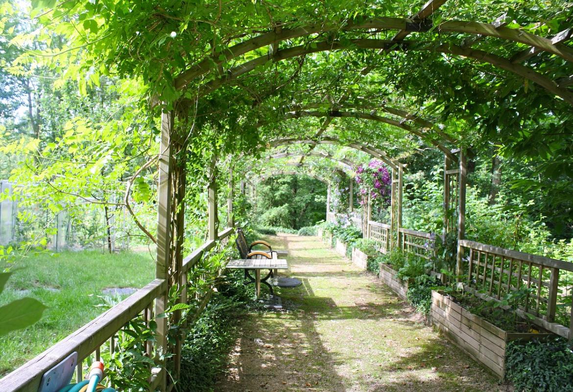Jardín frondoso con pasillo con celosía cubierta de plantas