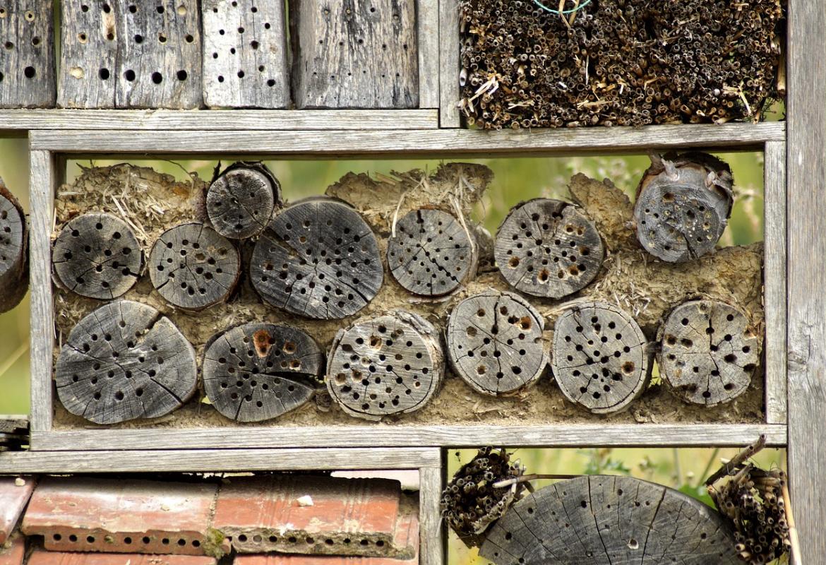 Distintos trozos de madera en los que pueden refugiarse y anidar insectos