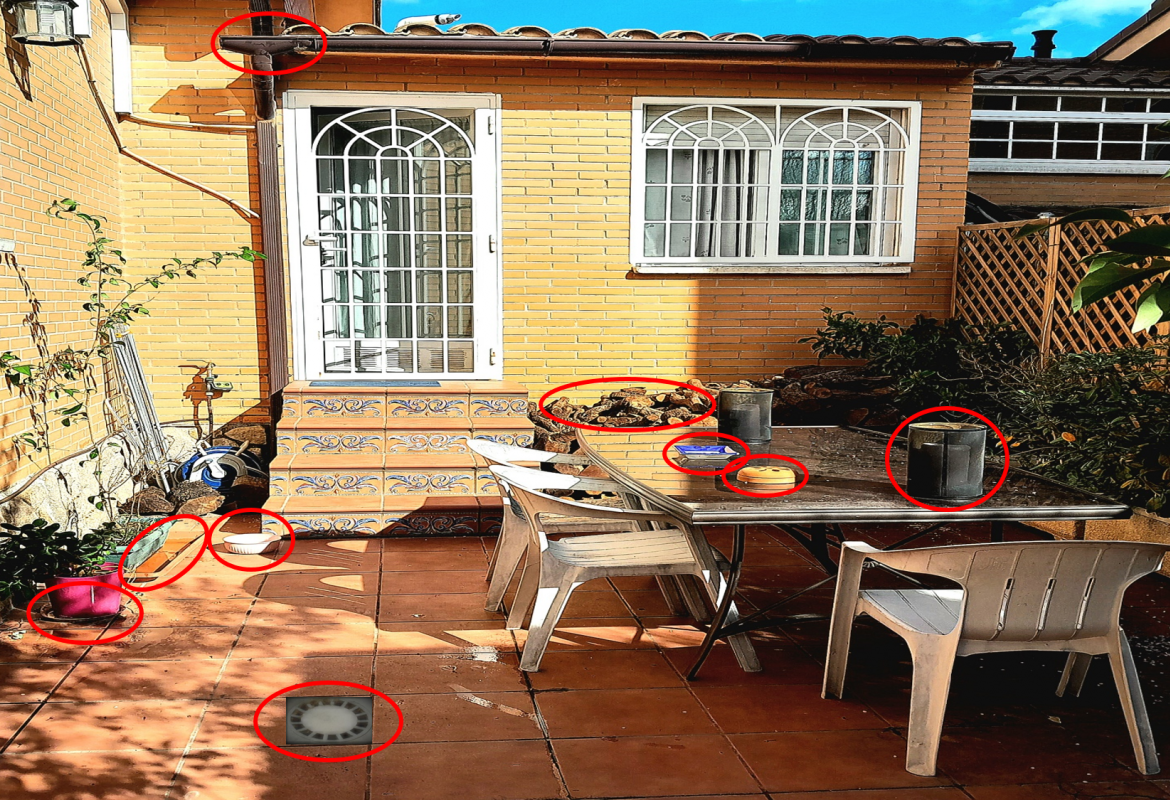 Casa con patio donde existen numerosos lugares y objetos donde puede poner los huevos el mosquito tigre