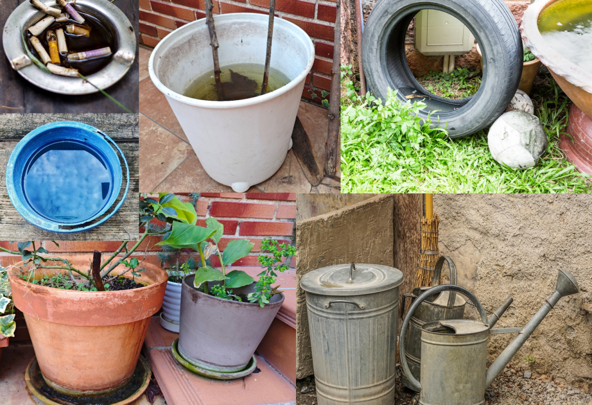 Recipientes habituales en un patio (cenicero, barreño, neumático, maceta) que pueden acumular agua donde puede anidar el mosquito tigre